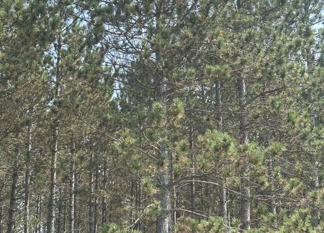 Property at ON Burrows Lake Rd, WI 54487