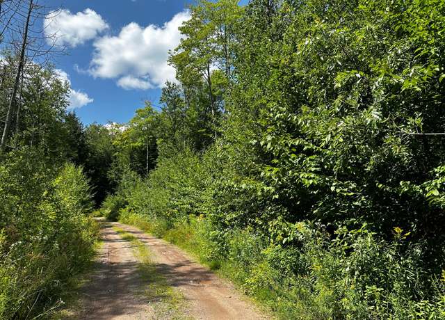 Property at 20840 Hideaway Trl Lot 4, Watersmeet, MI 49969