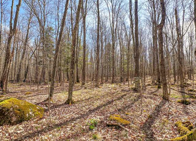 Property at 10 acres Bass Lake Rd, Park Falls, WI 54552
