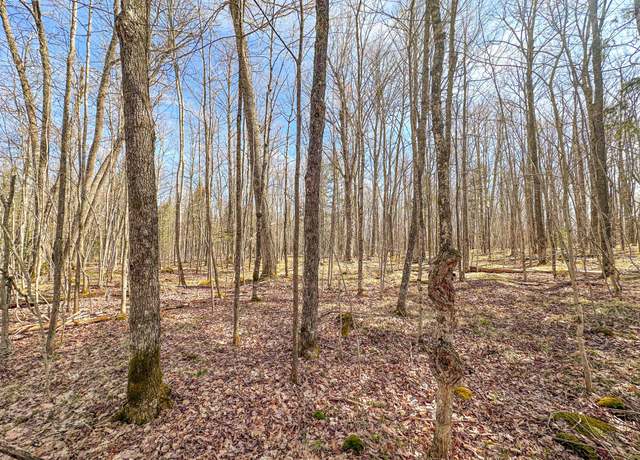 Property at 10 acres Bass Lake Rd, Park Falls, WI 54552