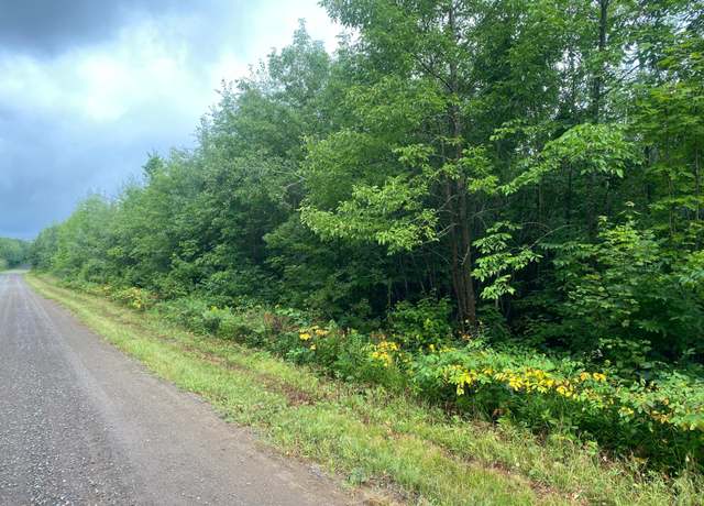 Property at ON Bear Lake Rd, Butternut, WI 54514
