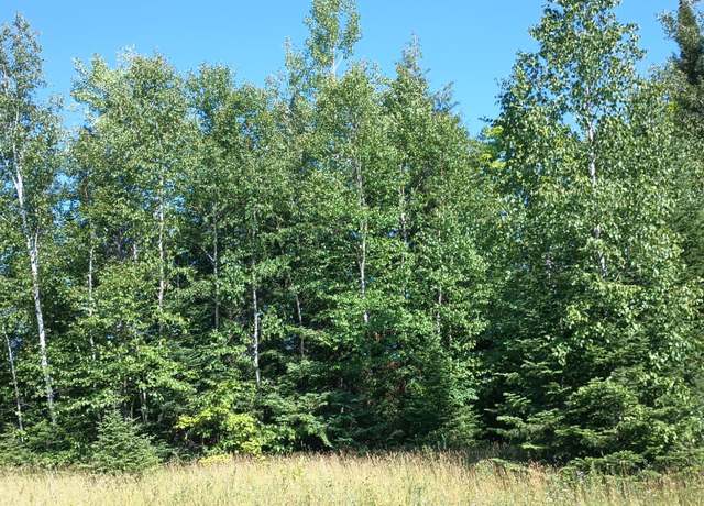 Property at Lot 7 Chaney Cove Rd, MI 49911