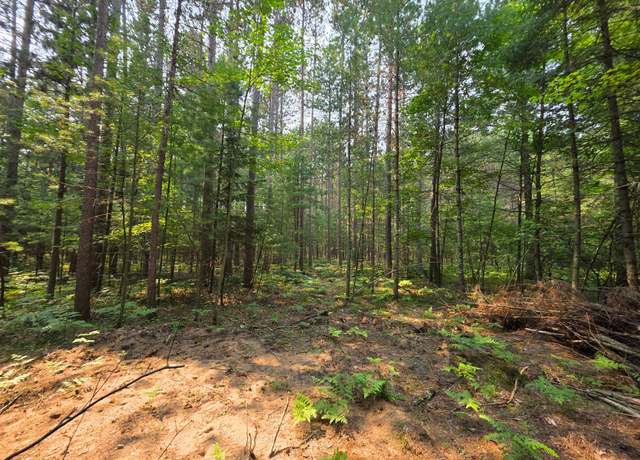 Property at Lot 50 Whitetailed Deer Dr, Tomahawk, WI 54487