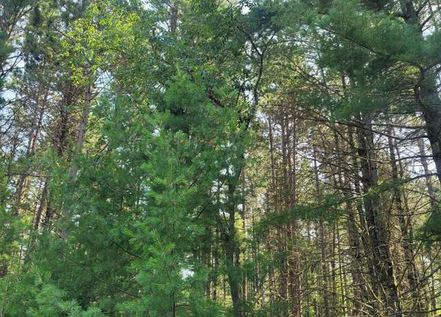 Property at off Blue Lake Rd, Minocqua, WI 54548