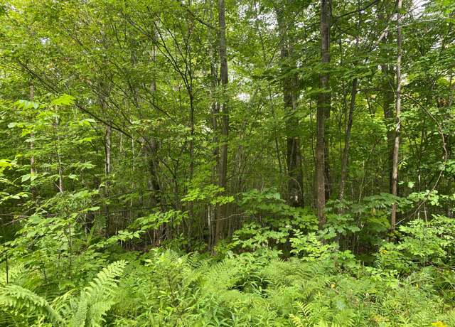 Property at NEAR Cth W, Winter, WI 54896