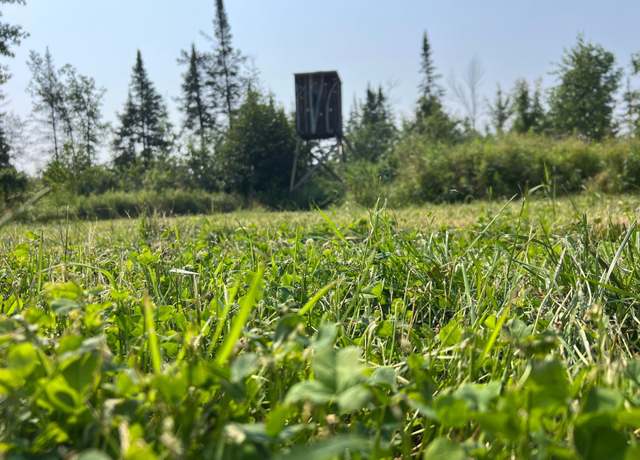 Property at ON Saindon Rd, Tomahawk, WI 54487