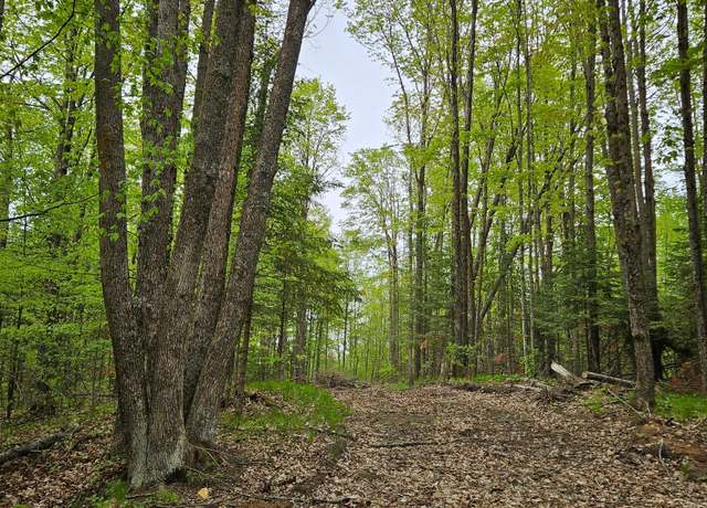 Property at ON Cth T, Wabeno, WI 54566