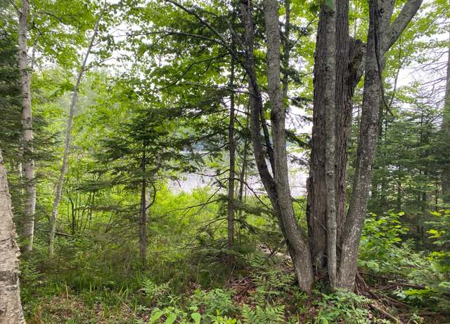 Property at LOT Hiawatha Shores Rd, Presque Isle, WI 54557
