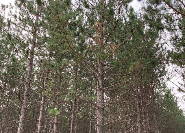 Property at ON Kjar Rd, WI 54487