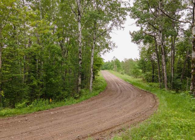 Property at 30acres Wards Trl, Iron River, MI 49935