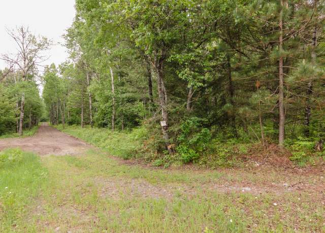 Property at 60acres Wards Trl, Iron River, MI 49935