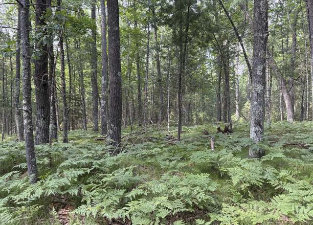 Property at Off Pine Shore Ln, St. Germain, WI 54558