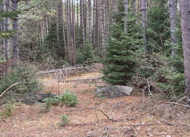 Property at 8634 Cth H, Sugar Camp, WI 54521
