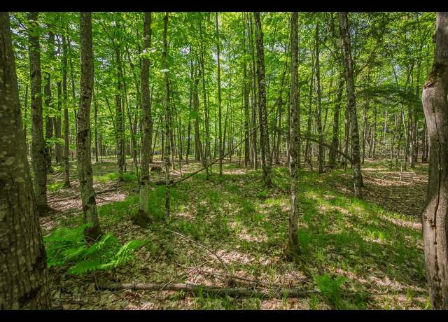 Property at Lot 23 Bonita Pt, Eagle River, WI 54521
