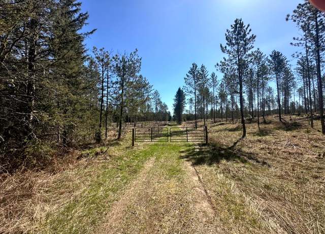 Property at 78.5 AC Monheim Rd, Conover, WI 54519