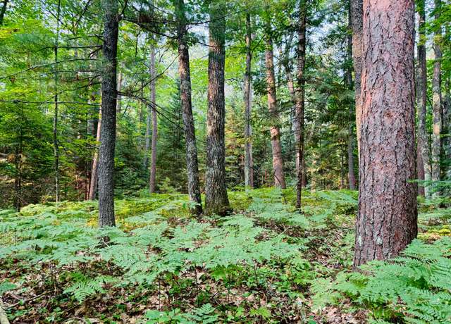 Property at Lot 2 Carlson Rd, Land O Lakes, WI 54540