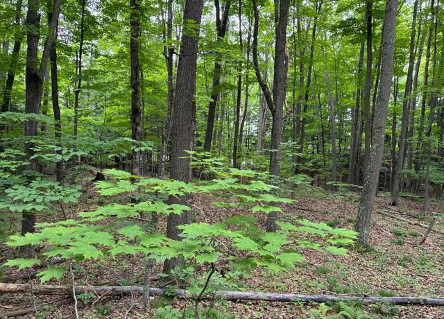 Property at 02217801 Grass Lake Rd, Crandon, WI 54520