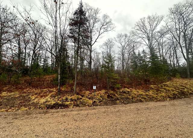 Property at Lot 1 Cth B, Land O Lakes, WI 54540
