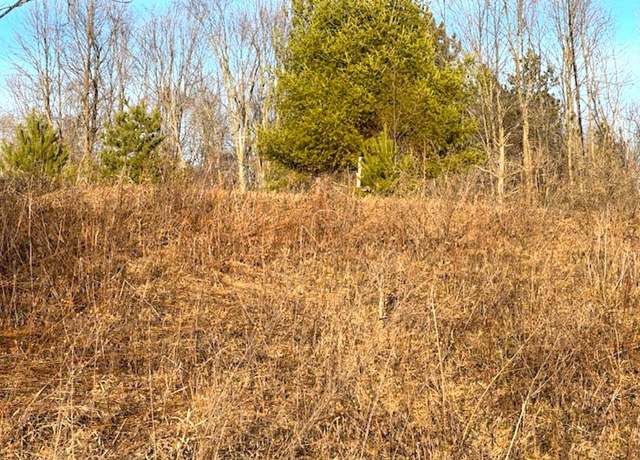 Property at Lot 6 Thorn Apple Dr, Wittenberg, WI 54499