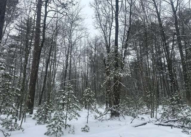 Property at ON Wakefield Lake Rd E Lot 24, St Germain, WI 54558