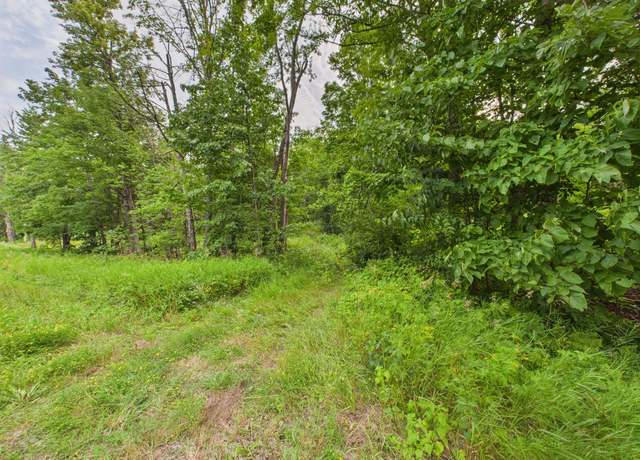 Property at 36.5 ac Hwy 139, Newald, WI 54511