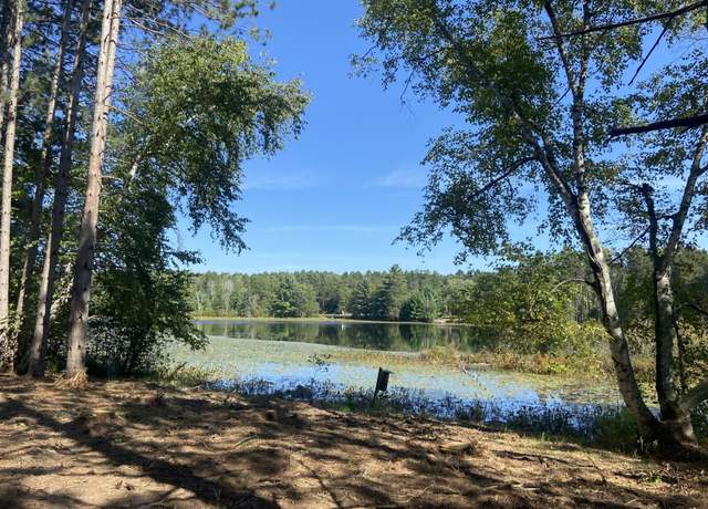 Property at 5 acres Pine Shore Ln Lot 3, Tomahawk, WI 54487