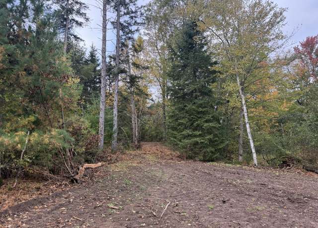 Property at 5 ACRES Pine Shore Ln Lot 2, Tomahawk, WI 54487