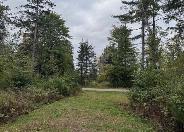 Property at 3 ACRES Pine Shore Ln Lot 4, Tomahawk, WI 54487