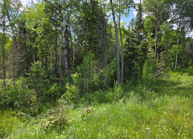 Property at 40 AC Hwy 45, Watersmeet, MI 49969