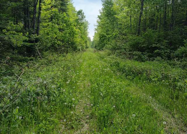 Property at ON Meister Stockley Rd, Pelican Lake, WI 54463