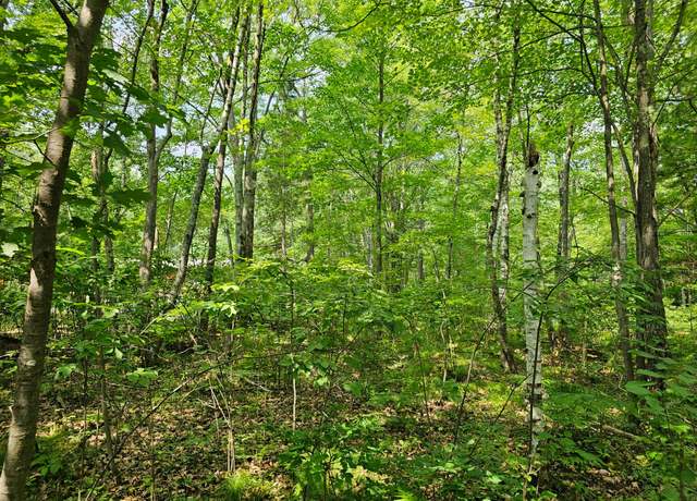 Property at ON Marie Ln, Minocqua, WI 54548