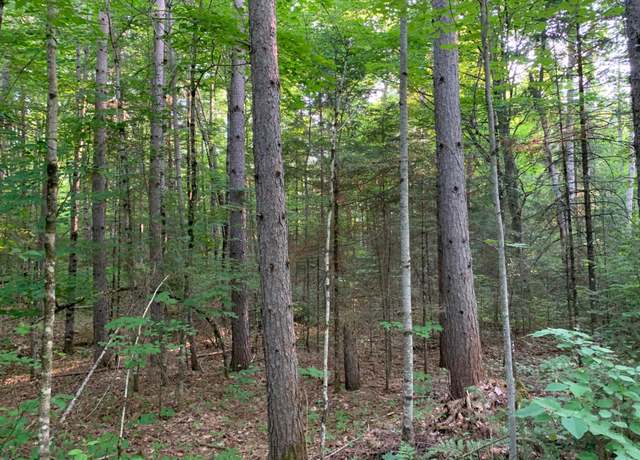 Property at Lot 24 Deer Trail Rd, Presque Isle, WI 54557