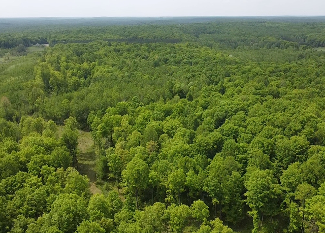 Property at Lot 2 Hwy 70, Tipler, WI 54542