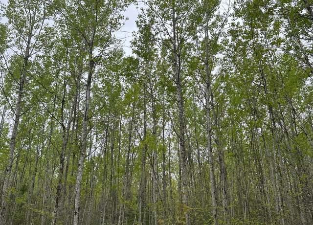 Property at ON Burrows Lake Rd Lot 3, Tomahawk, WI 54887