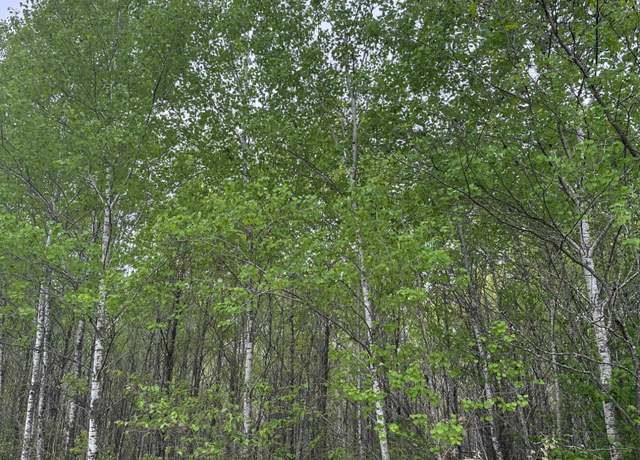 Property at ON Burrows Lake Rd Lot 7, Tomahawk, WI 54887