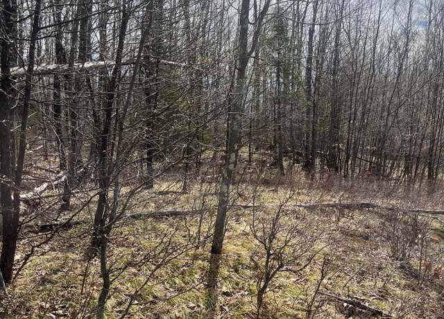Property at ON Nature Trl, Townsend, WI 54175