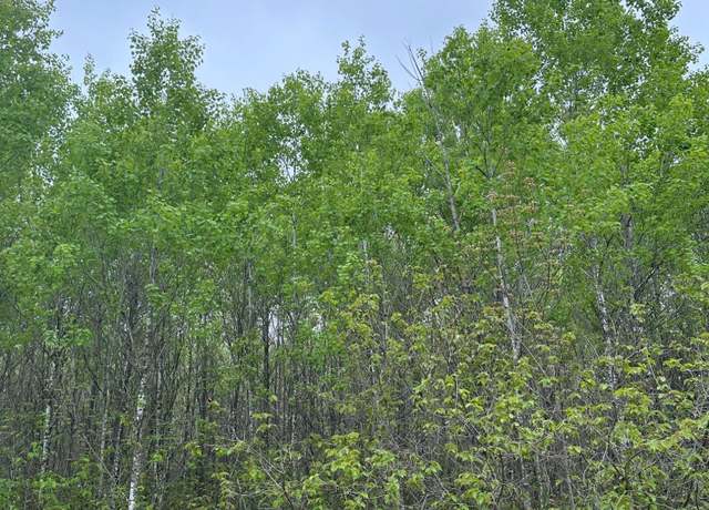 Property at ON Burrows Lake Rd Lot 8, Tomahawk, WI 54887