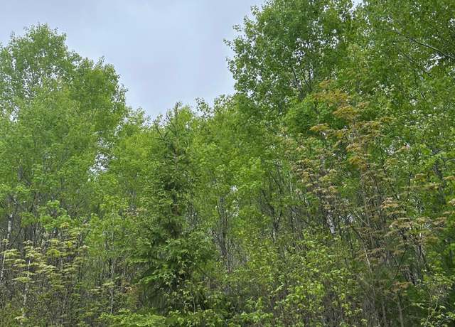 Property at ON Burrows Lake Rd Lot 9, Tomahawk, WI 54887
