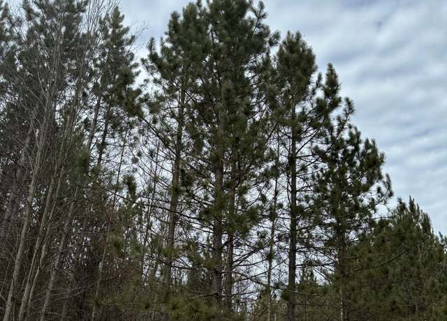 Property at ON Prairie Rapids Rd Unit Tract 2051, WI 54487