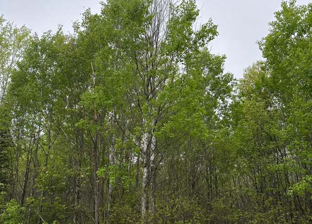 Property at ON Burrows Lake Rd Lot 10, Tomahawk, WI 54887