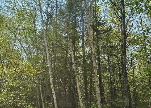 Property at ON Burrows Lake Rd Lot 11, Tomahawk, WI 54887