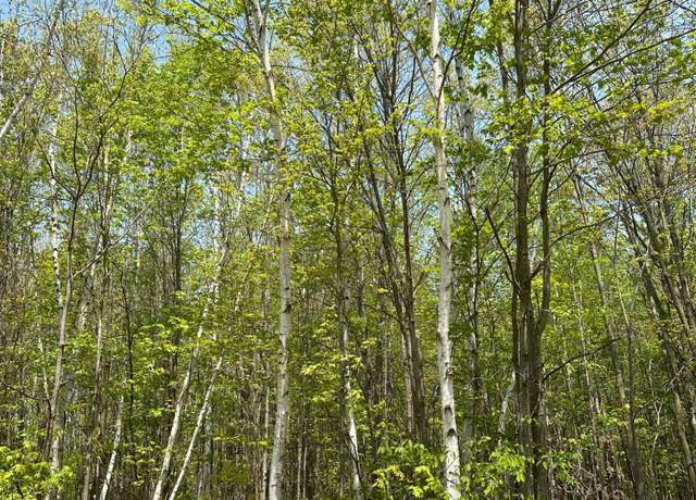 Property at ON Burrows Lake Rd Lot 13, Tomahawk, WI 54887