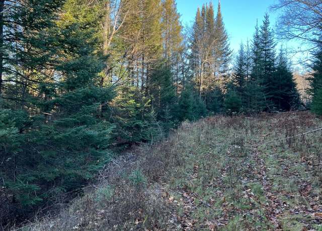 Property at 7534 Cth D, Eagle River, WI 54521