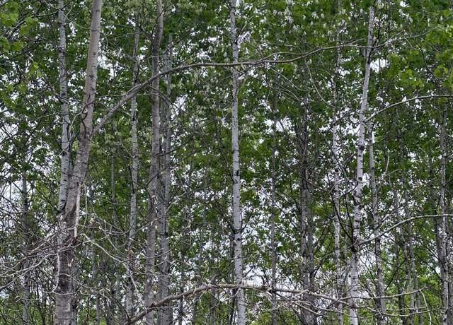 Property at ON Kelly Fire Ln Lot 4, Tomahawk, WI 54487