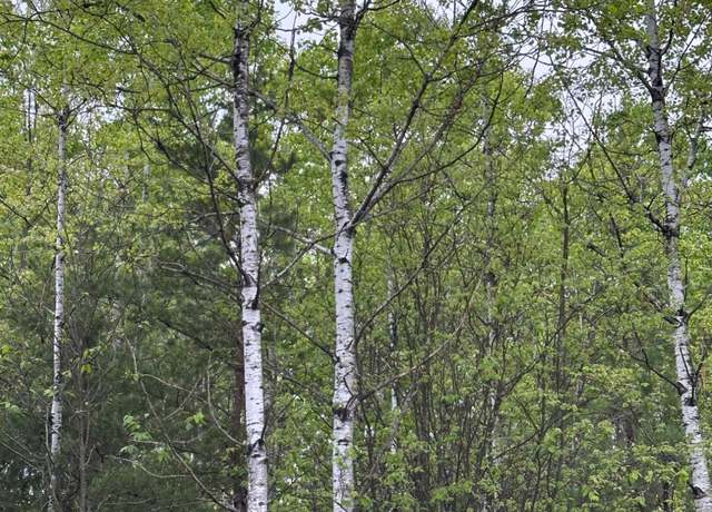 Property at ON Kelly Dam Rd Lot 7, Tomahawk, WI 54487