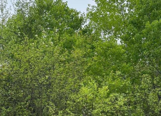 Property at ON Kelly Dam Rd Lot 10, Tomahawk, WI 54487