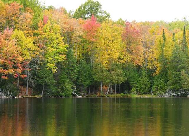 Property at Lot 1 Gaylord Lake Rd, Marenisco, MI 49947