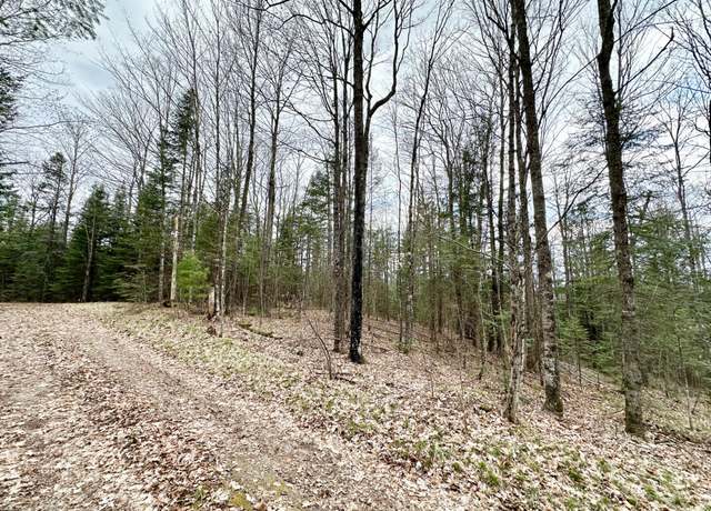 Property at 10 Acres Hwy 55, Pearson, WI 54462