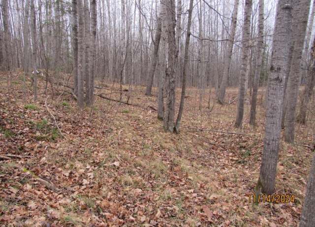 Property at ON Shady Drive Rd, Fifield, WI 54524