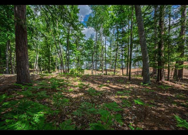 Property at Lot 129 Clearwater Lake Trl, Eagle River, WI 54521